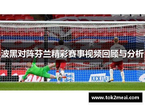 波黑对阵芬兰精彩赛事视频回顾与分析