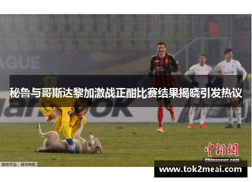 秘鲁与哥斯达黎加激战正酣比赛结果揭晓引发热议