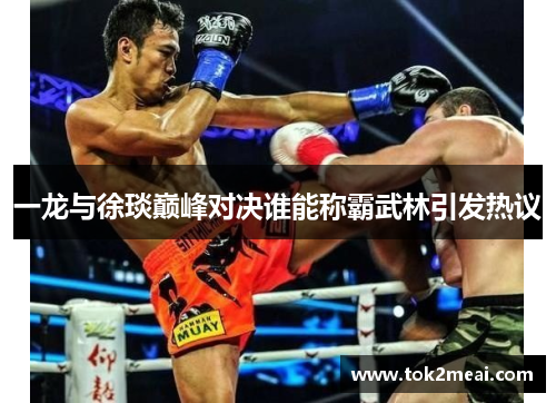 一龙与徐琰巅峰对决谁能称霸武林引发热议